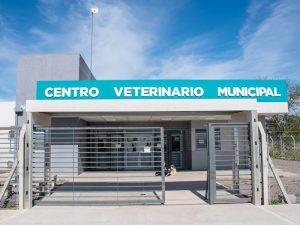 Día del Animal