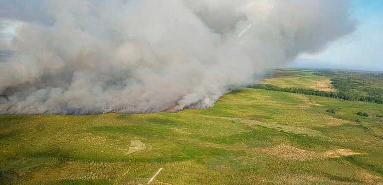 Incendio En Punta Lara: Aseguran Que No Afecto La Zona De Biodiversidad