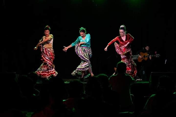 Hiedra Flamenco: Un Espectáculo De Música, Feminismo Y Militancia