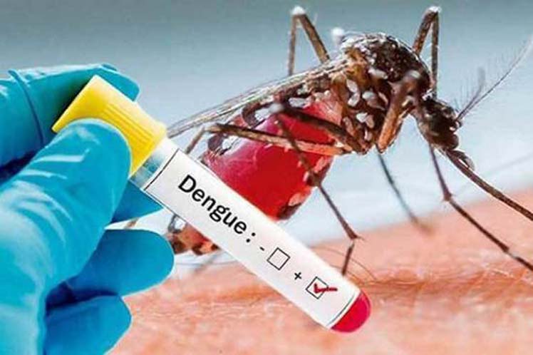 Alerta Dengue: Hay Dos Casos Autóctonos En Quilmes