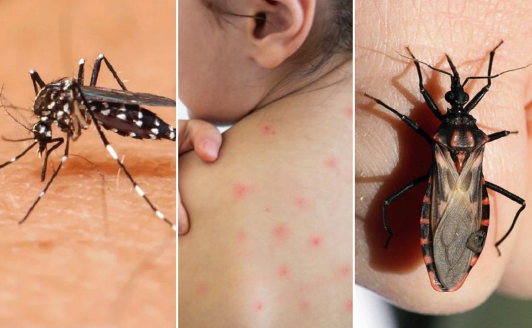 Endemia Y Epidemia: Las Enfermedades “olvidadas”, Chagas Y Dengue