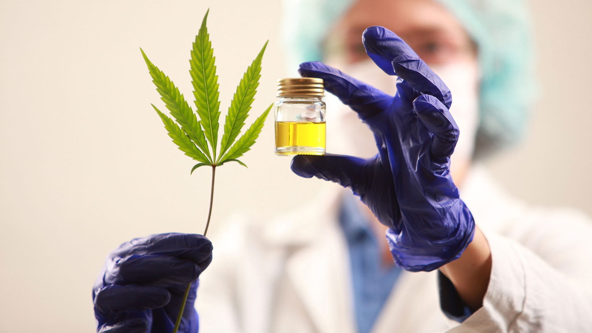 Presentaron Un Nuevo Proyecto De Ley Para El Uso Y Producción De Cannabis Medicinal