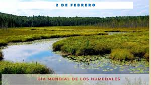 Día Mundial De Los Humedales: “Los Emprendimientos Inmobiliarios Venden La Naturaleza Y Destruyen Las Biodiversidades De La Región”