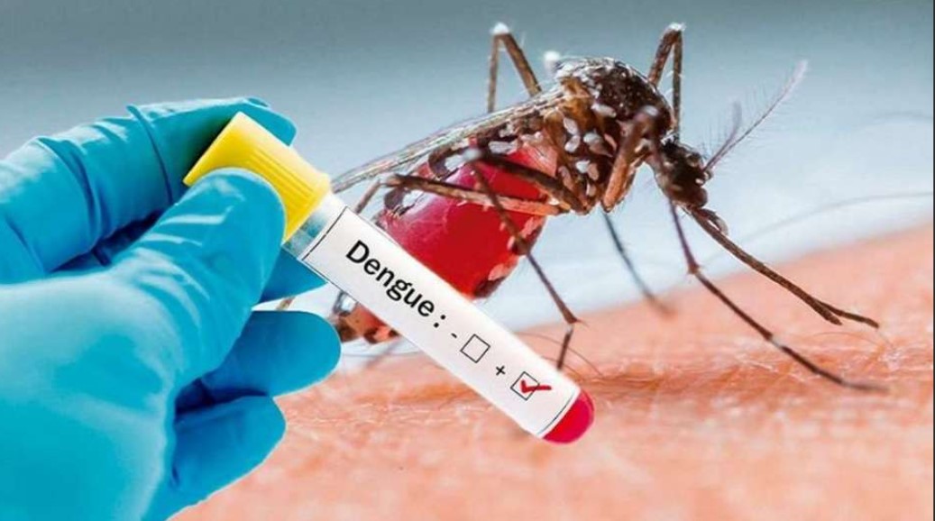 En Guardia Por El Dengue: Cómo Prevenirlo