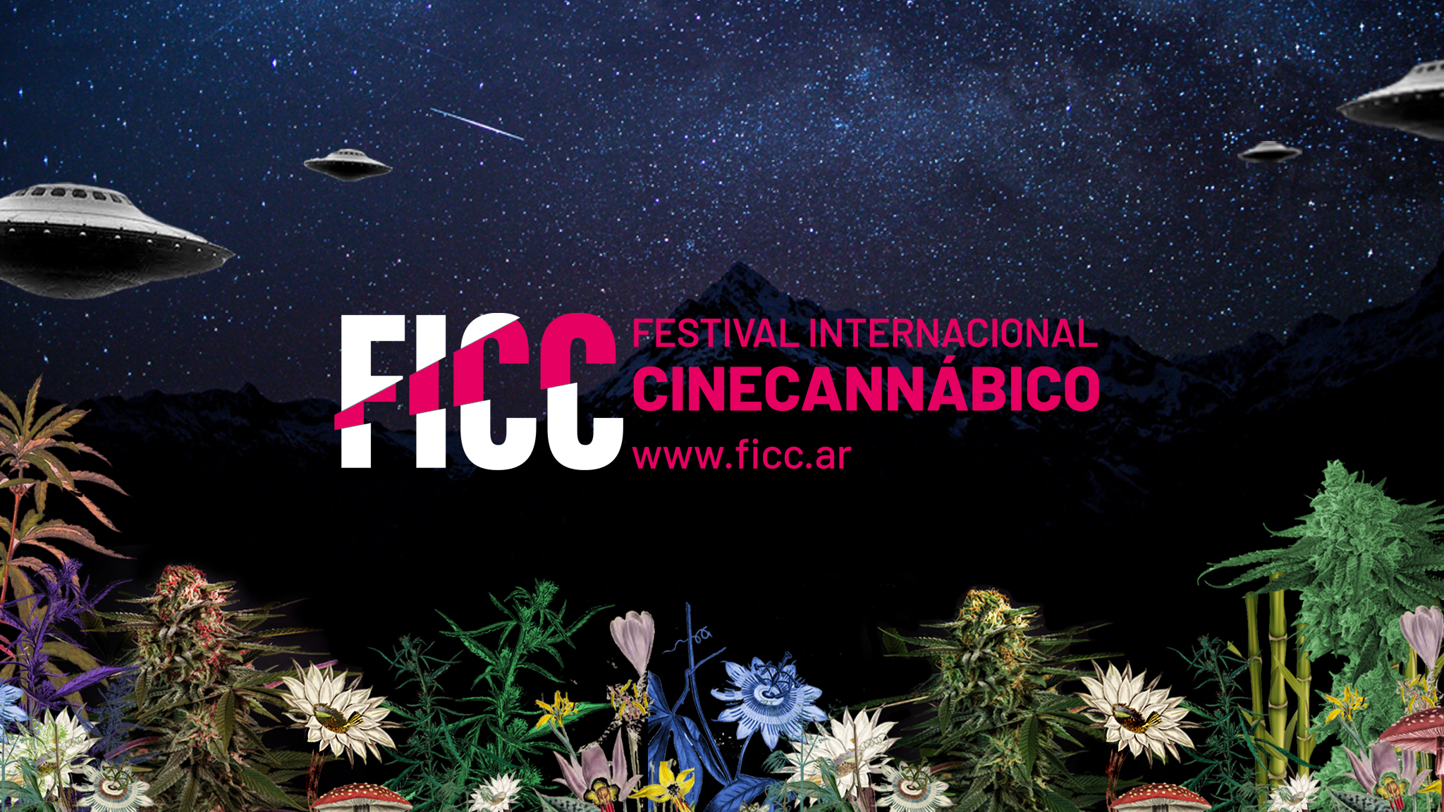Se Desarrolla La 4ª Edición Del Festival Internacional De Cine Cannábico
